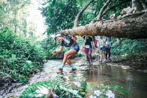 BIB: 
                            <button type="button" onclick="openModal(25449149)" class="btn btn-primary btn-sm float-right btn-popup" data-toggle="modal" data-target=".modal-high-quality">
                        <i class="fas fa-shopping-cart"></i> Add to Cart
                    </button>
                                            <button type="button" onclick="isThisMe(25449149, true)" class="btn btn-success btn-sm float-right btn-popup btn-isme hidden" data-toggle="tooltip" data-placement="bottom" title="นี่คือรูปของคุณใช่ไหม คลิกที่นี่เพื่อเอาเข้าอัลบั้ม">
                        <i class="fas fa-plus"></i> Add to album
                    </button>
                    <button type="button" onclick="isThisMe(25449149, false)" class="btn btn-warning btn-sm float-right btn-popup btn-isnotme hidden">
                        <i class="fas fa-ban"></i> Remove from album
                    </button>